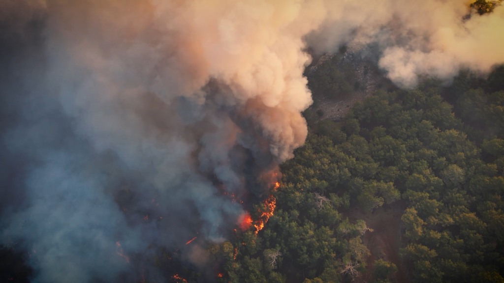 Mais de 90% dos incêndios florestais em São Paulo são ocasionados por ações humanas